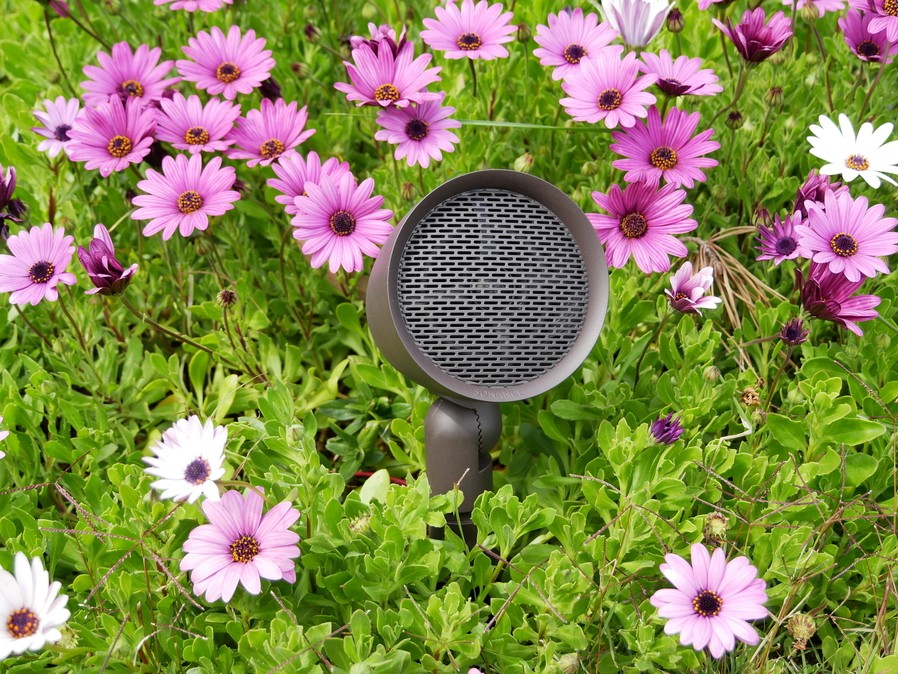 A Sonance outdoor speaker surrounded by small pink and purple flowers. 